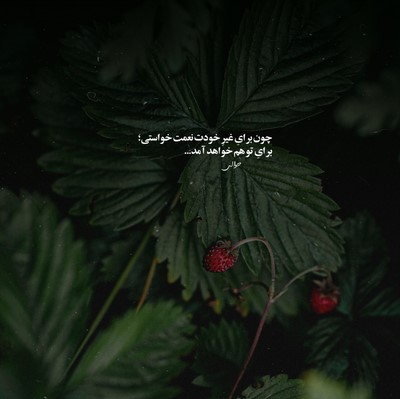 عرفان و رها هر جا بریم خوبه همونجا هر جا بریم